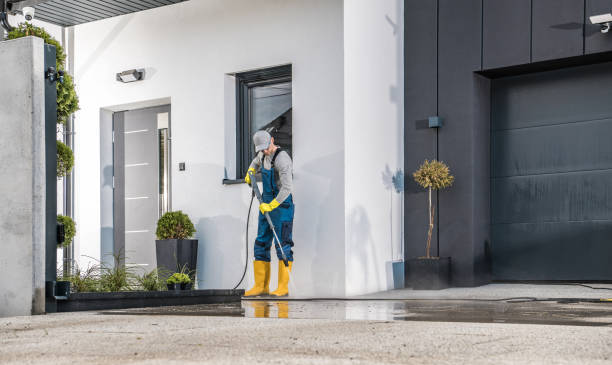 Animal Enclosure Cleaning in Lorena, TX